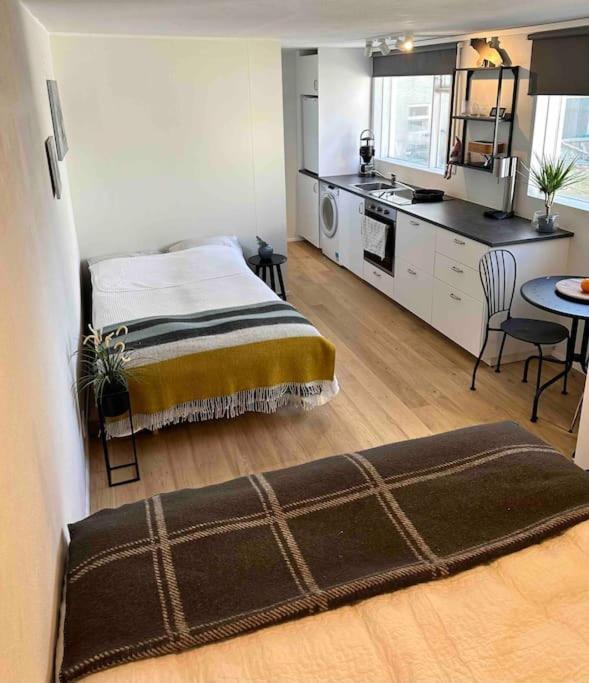Studio Apartment Reykjavik City Center Exterior photo